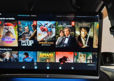 Car TV with Netflix